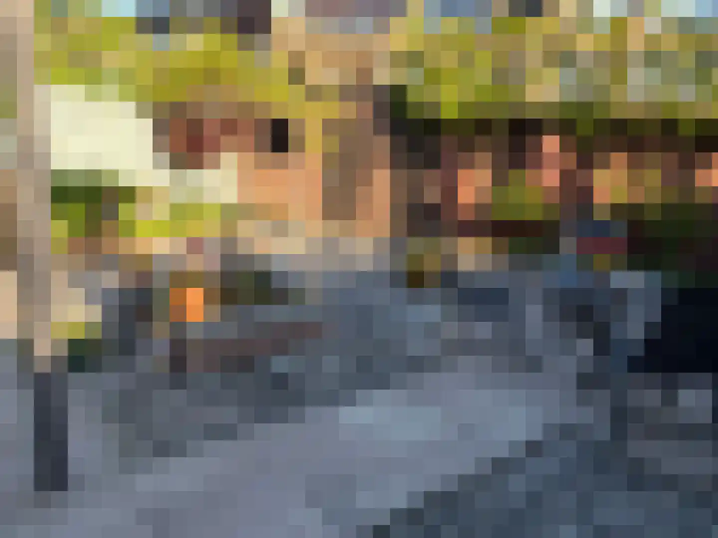 Ds van den Boschlaan 118 Rijswijk thumbnail 20