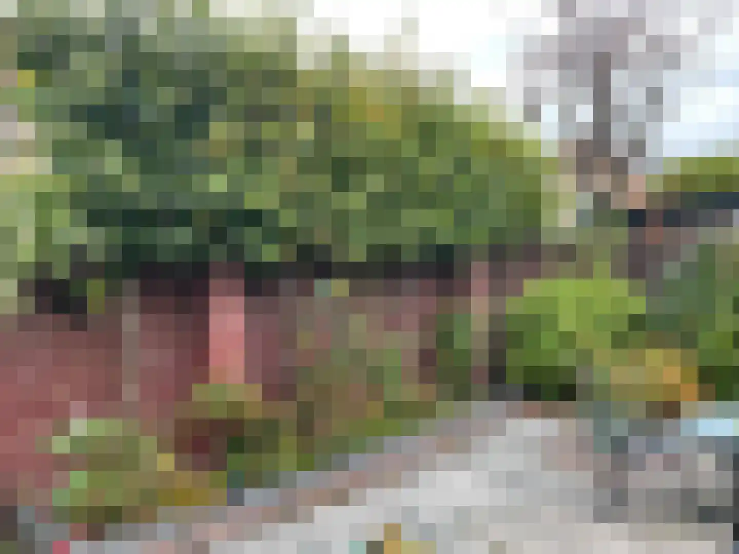 Ds van den Boschlaan 118 Rijswijk thumbnail 20