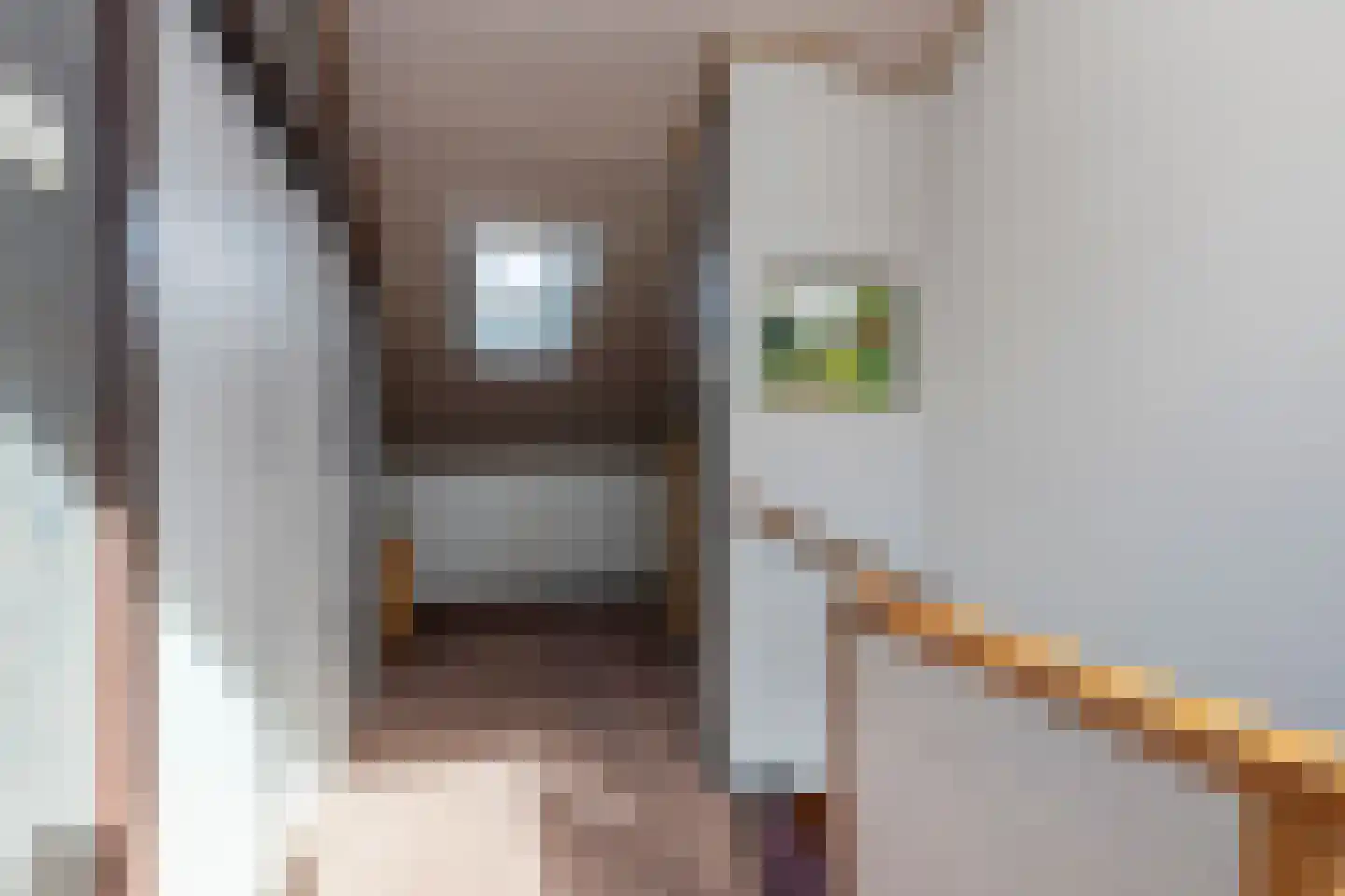 Ds van den Boschlaan 118 Rijswijk thumbnail 35