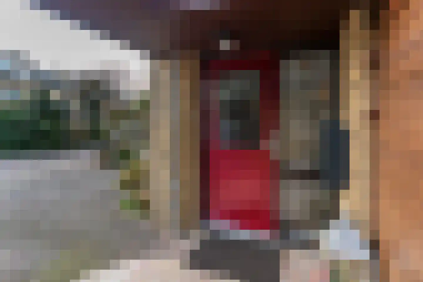Ds van den Boschlaan 118 Rijswijk thumbnail 40