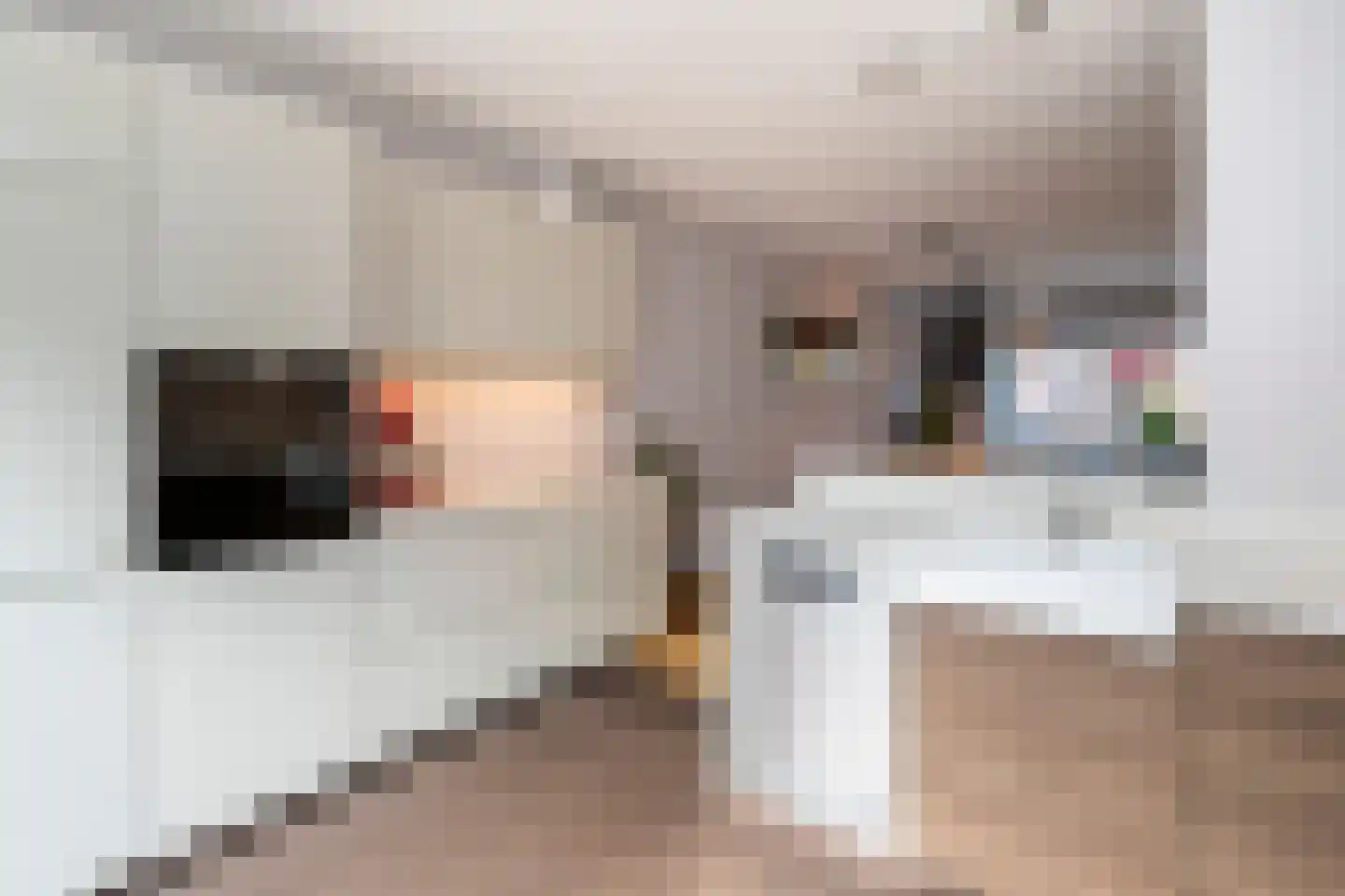 Ds van den Boschlaan 118 Rijswijk thumbnail 7