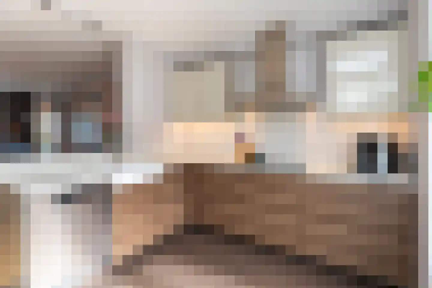 Ds van den Boschlaan 118 Rijswijk thumbnail 7