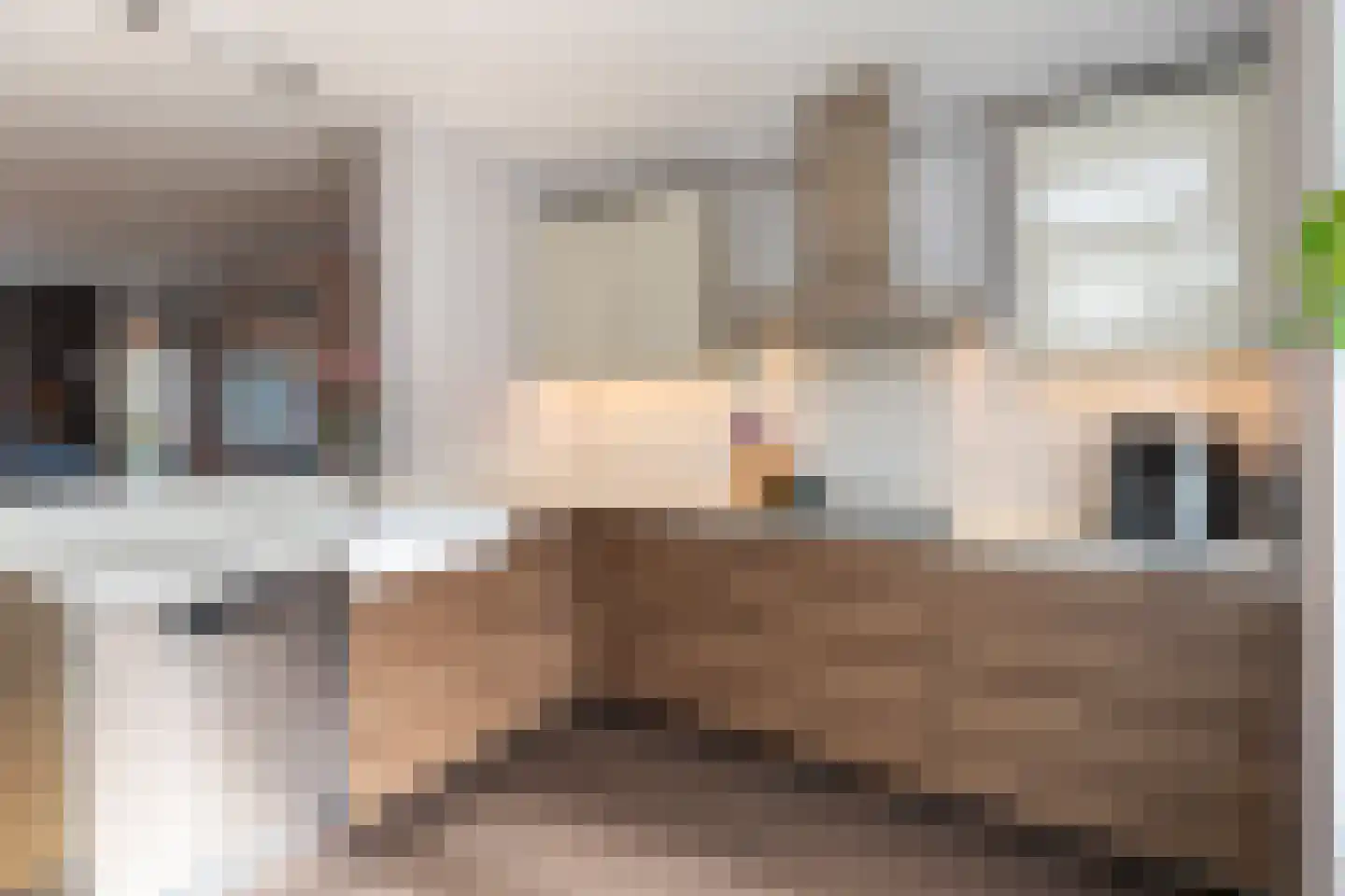 Ds van den Boschlaan 118 Rijswijk thumbnail 9