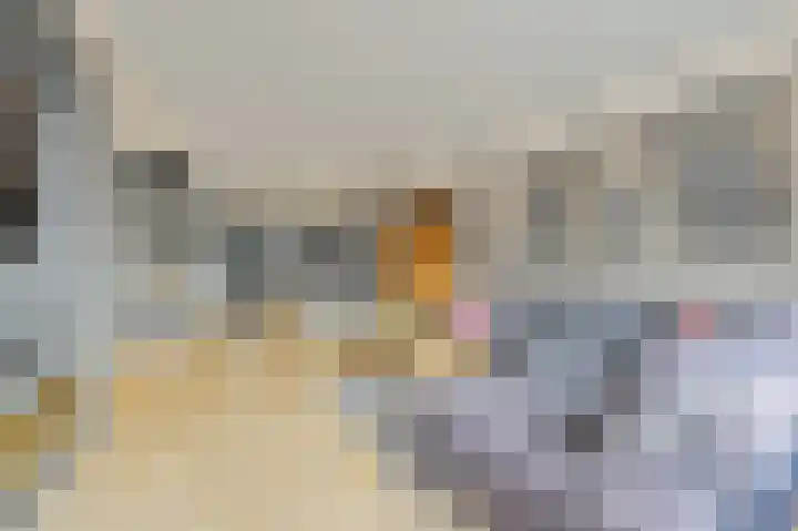 Ds van den Boschlaan 137 Rijswijk thumbnail 10