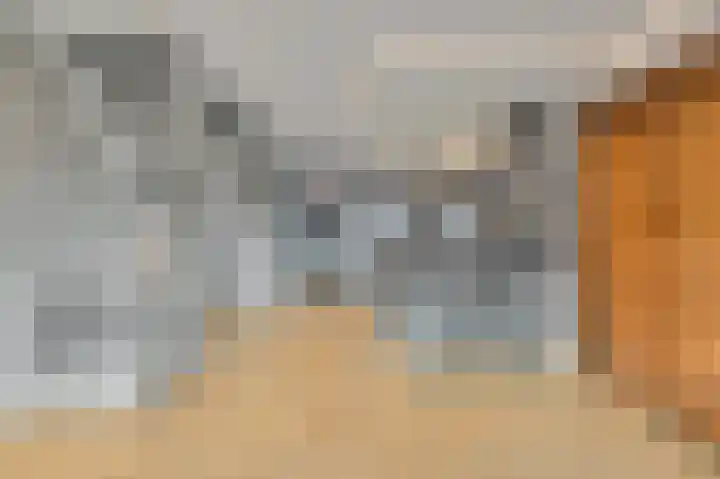 Ds van den Boschlaan 137 Rijswijk thumbnail 16