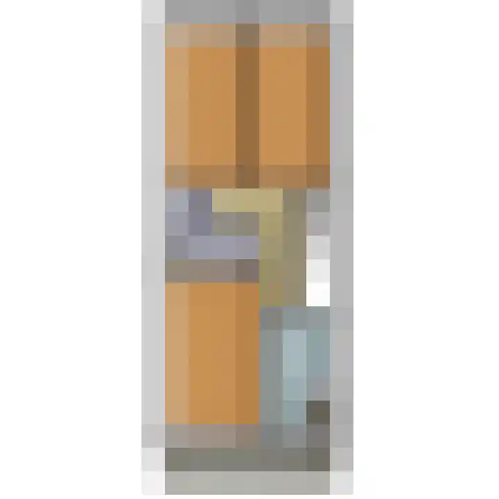 Ds van den Boschlaan 137 Rijswijk thumbnail 56