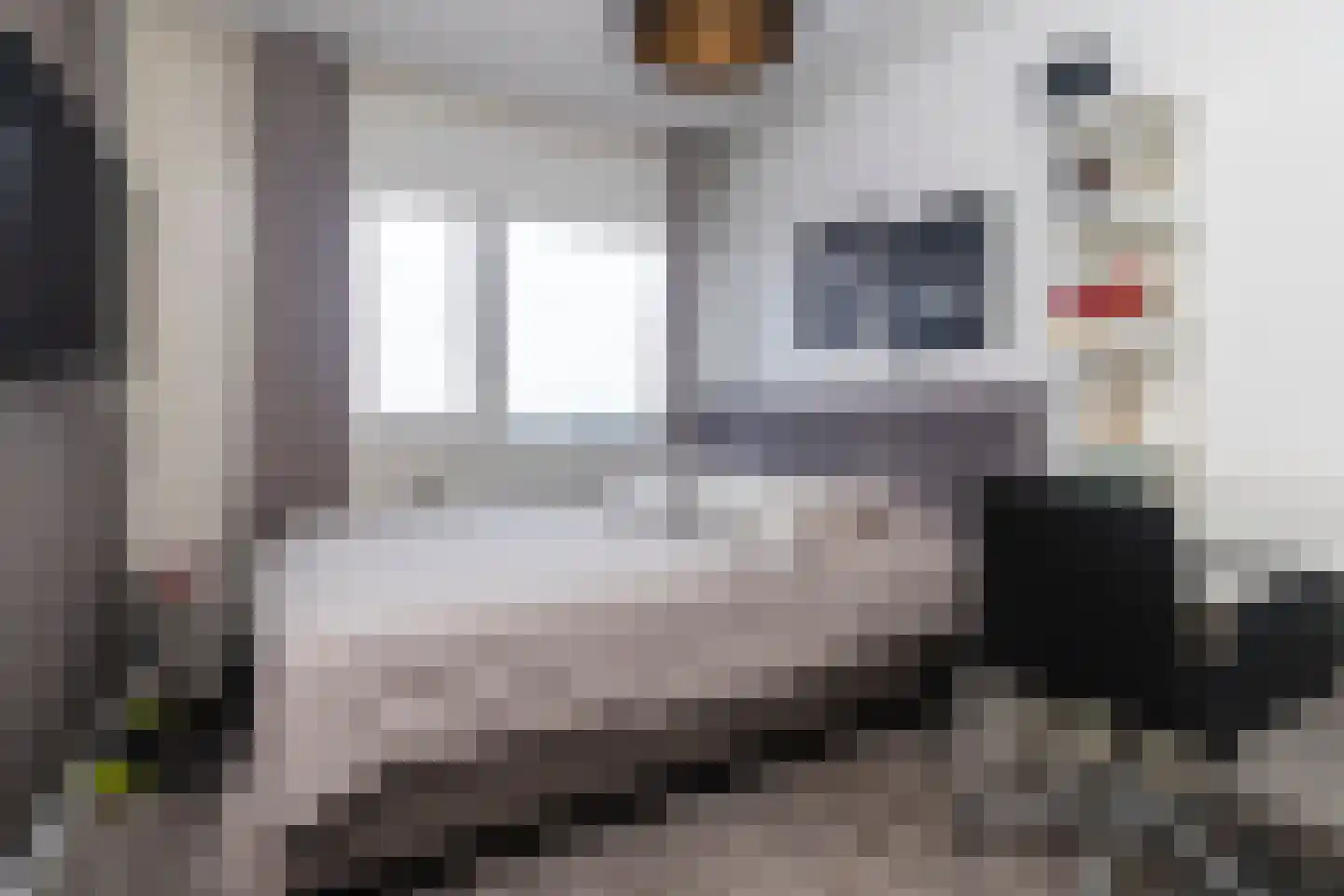 Ds van den Boschlaan 269 Rijswijk thumbnail 20