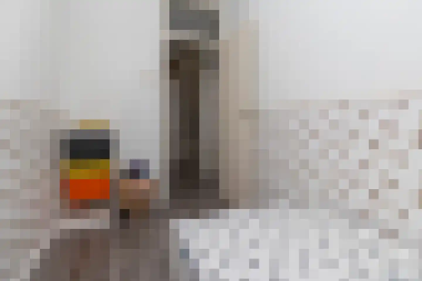 Ds van den Boschlaan 269 Rijswijk thumbnail 23