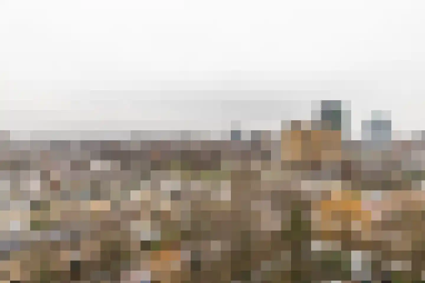 Ds van den Boschlaan 269 Rijswijk thumbnail 29