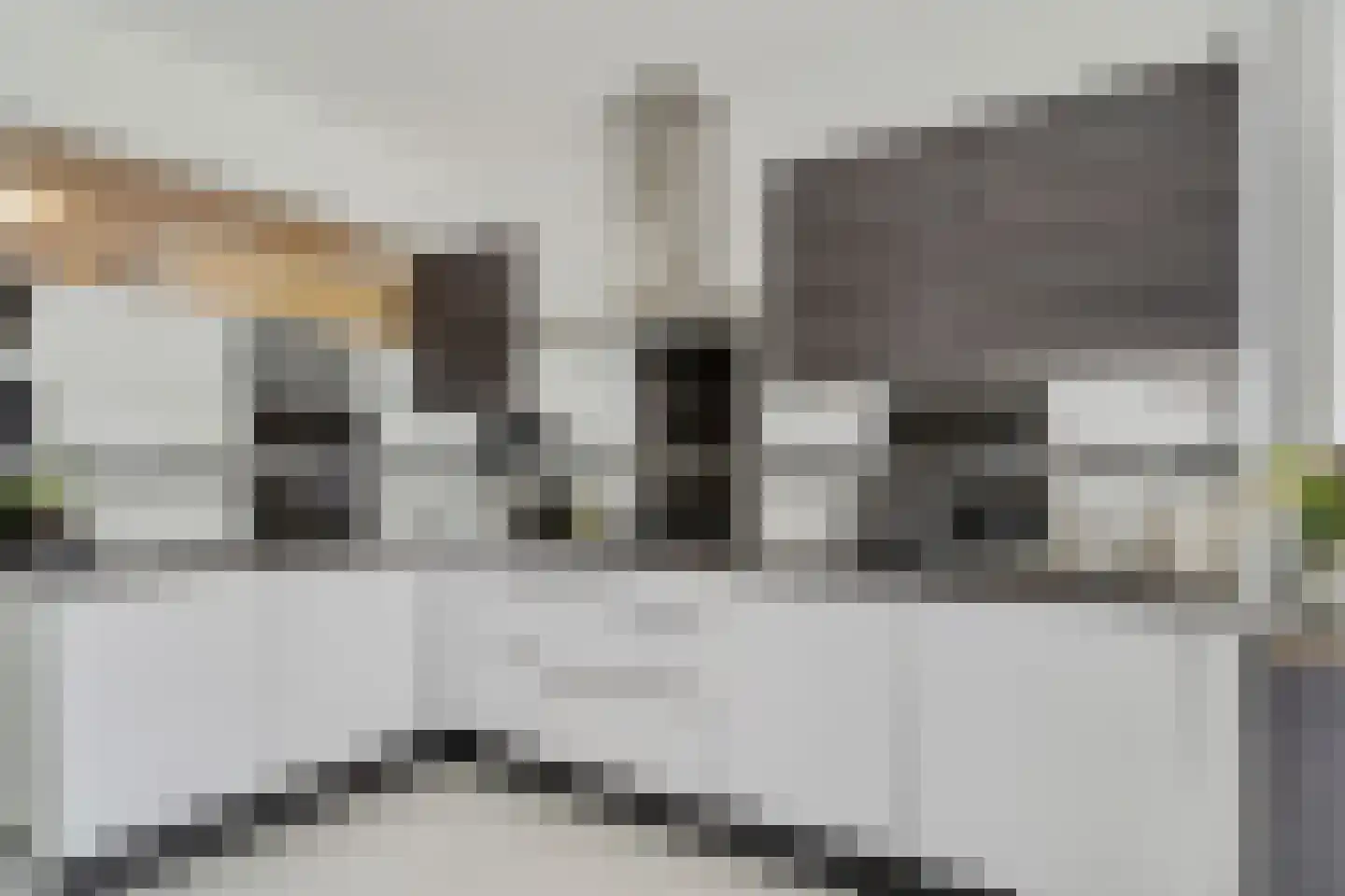 Ds van den Boschlaan 57 Rijswijk thumbnail 20
