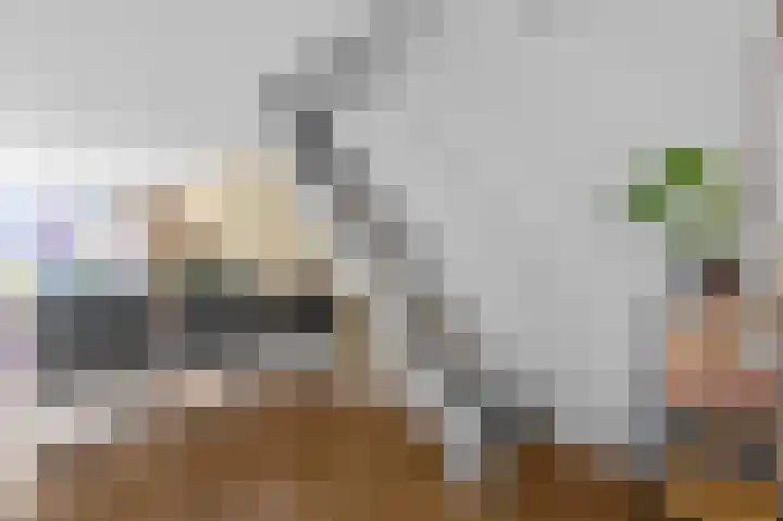 Ds van den Boschlaan 91 Rijswijk thumbnail 23