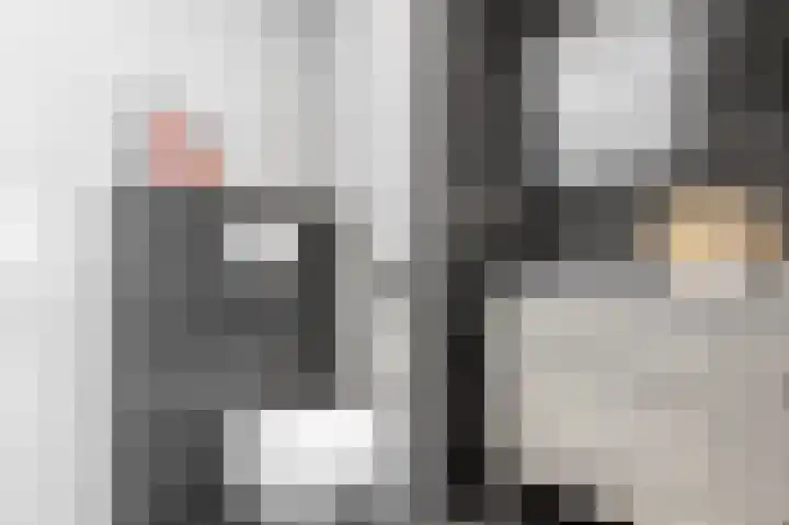 Ds van den Boschlaan 91 Rijswijk thumbnail 33