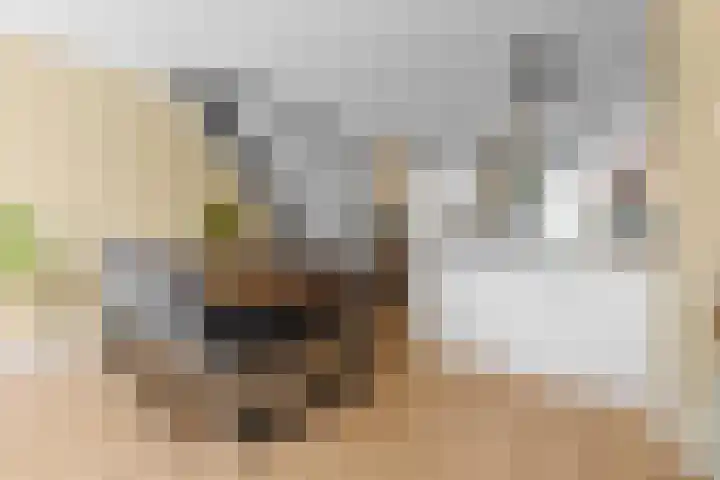 Ds van den Boschlaan 91 Rijswijk thumbnail 9