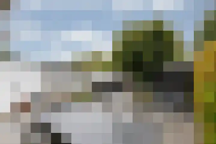 Ds van Dijkweg 24 Doetinchem thumbnail 26