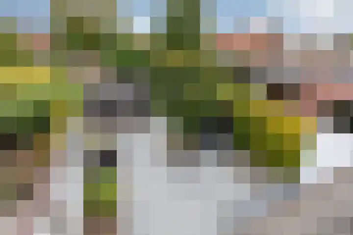 Ds van Dijkweg 24 Doetinchem thumbnail 39