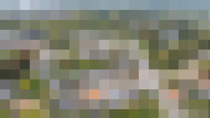 Ds van Dijkweg 24 Doetinchem thumbnail 56