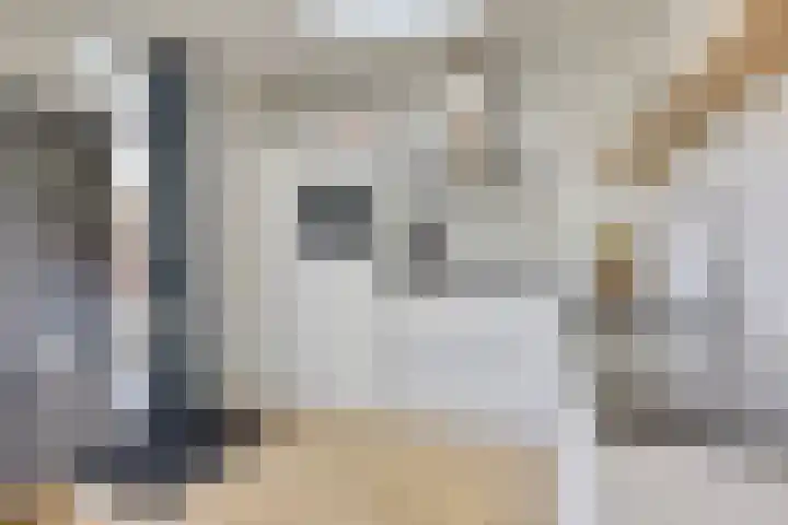 Ds van Haaftenlaan 17 Odijk thumbnail 11