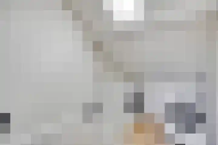 Ds van Haaftenlaan 17 Odijk thumbnail 27