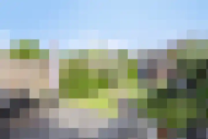 Ds van Haaftenlaan 17 Odijk thumbnail 28