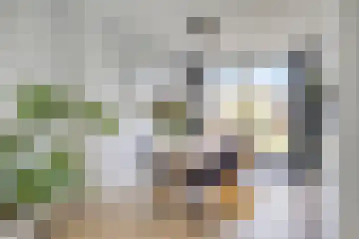 Ds van Haaftenlaan 17 Odijk thumbnail 8