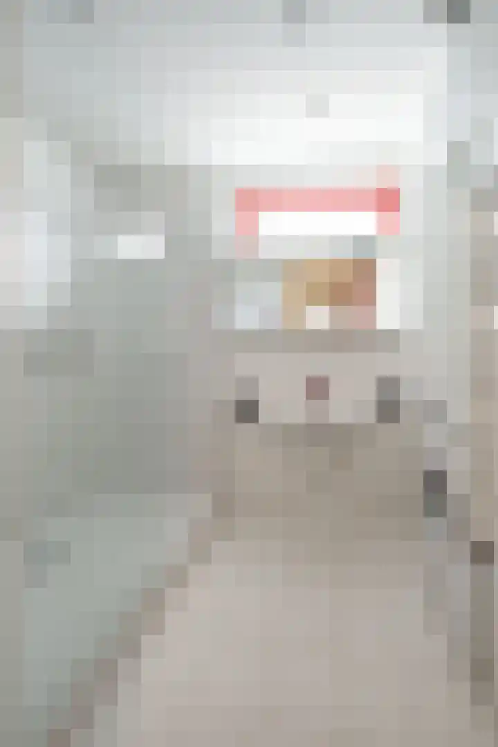 Ds van Haaftenlaan 18 Odijk thumbnail 18