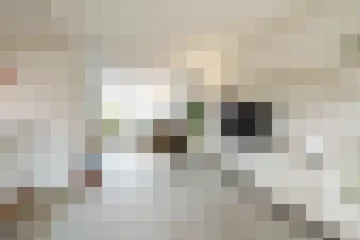 Ds van Haaftenlaan 18 Odijk foto 2