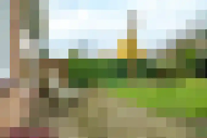 Ds van Haaftenlaan 18 Odijk thumbnail 21