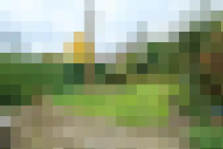 Ds van Haaftenlaan 18 Odijk thumbnail 22