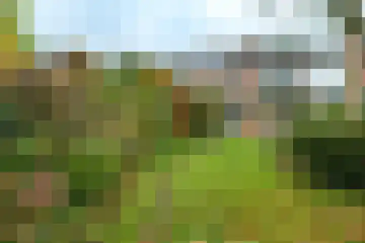 Ds van Haaftenlaan 18 Odijk thumbnail 24