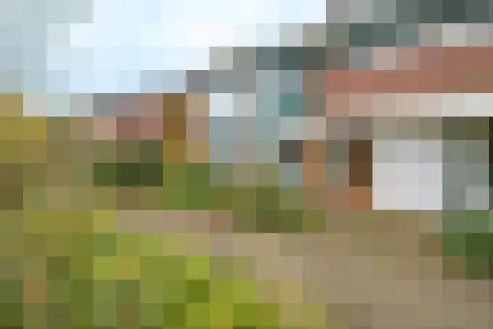 Ds van Haaftenlaan 18 Odijk thumbnail 25
