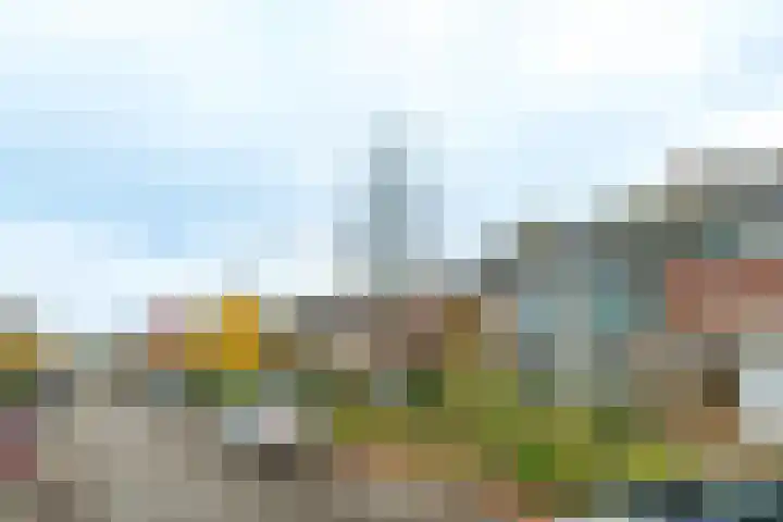 Ds van Haaftenlaan 18 Odijk thumbnail 26