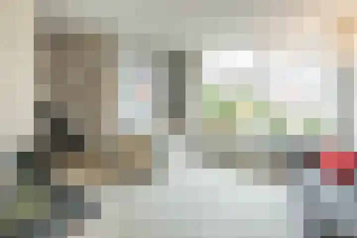 Ds van Haaftenlaan 18 Odijk thumbnail 4