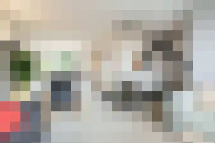 Ds van Haaftenlaan 18 Odijk thumbnail 5