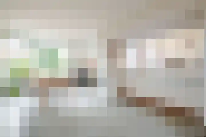 Ds van Haaftenlaan 18 Odijk thumbnail 8