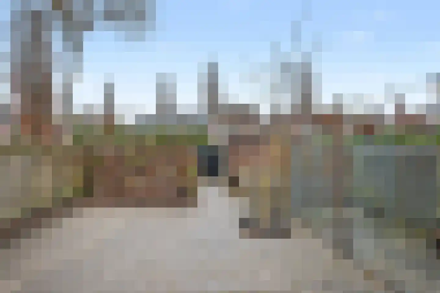 Ds. van Heusdenstraat 22 Hilvarenbeek thumbnail 26