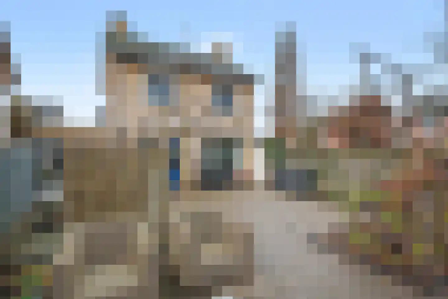 Ds. van Heusdenstraat 22 Hilvarenbeek thumbnail 30