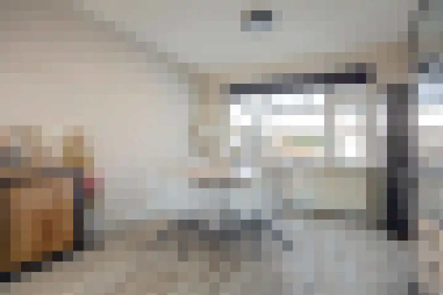 Ds.van Kriekenstraat 53 Haaksbergen thumbnail 8