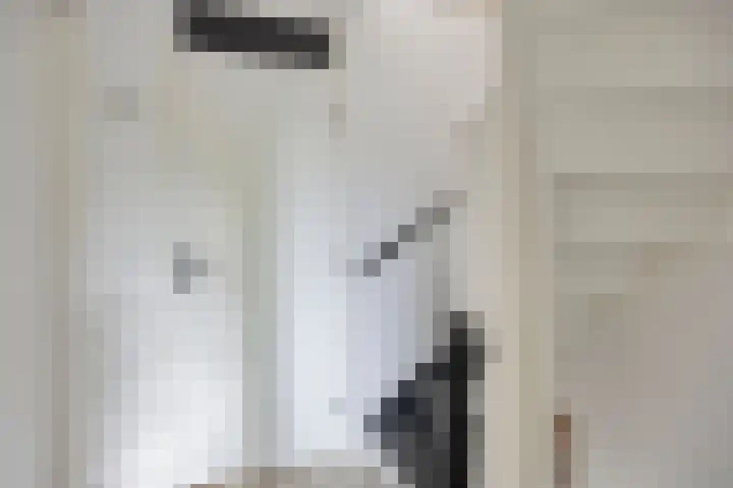 Ds. van Rhijnstraat 24 Emst thumbnail 19