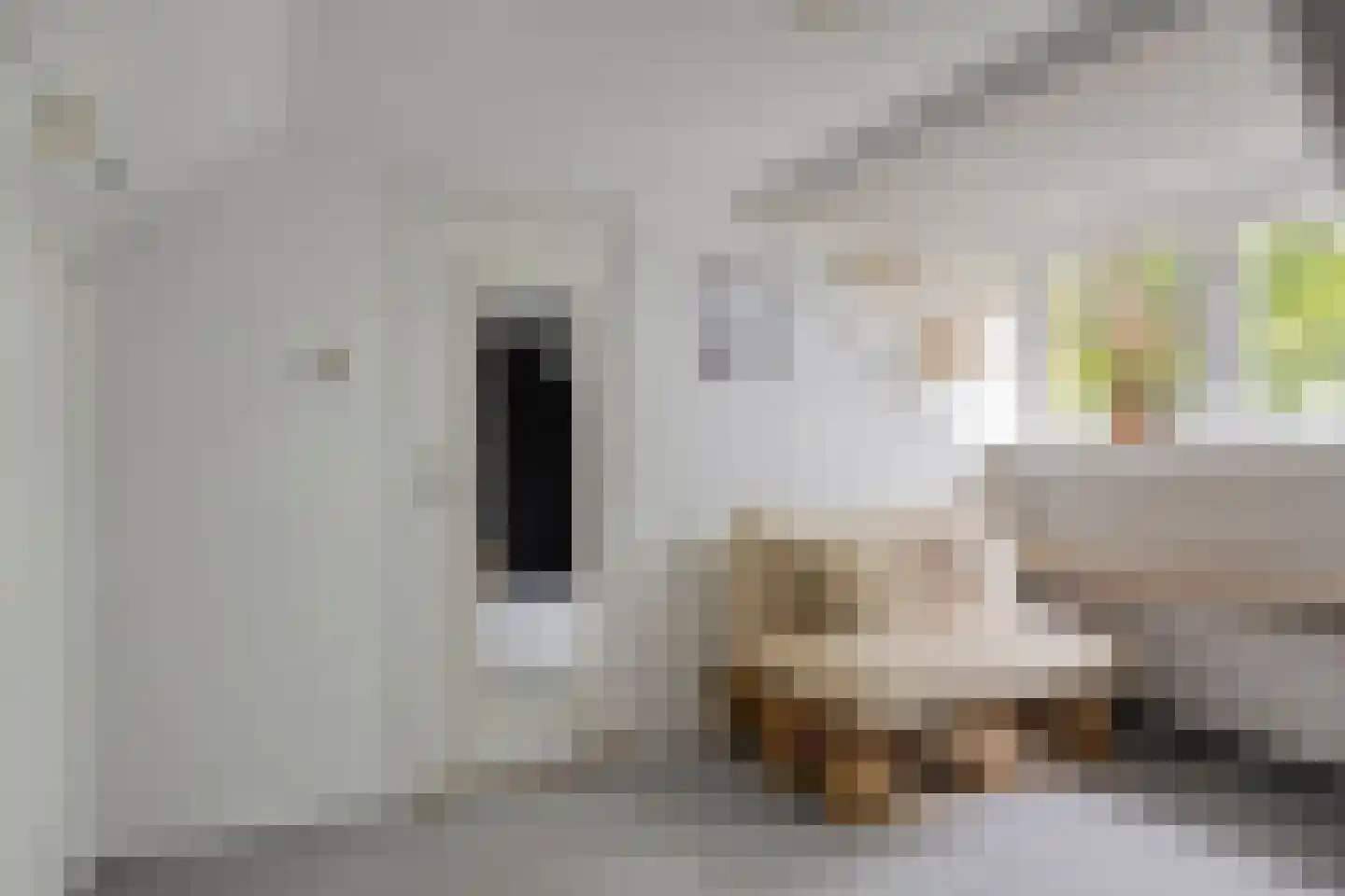 Ds. van Rhijnstraat 24 Emst thumbnail 22