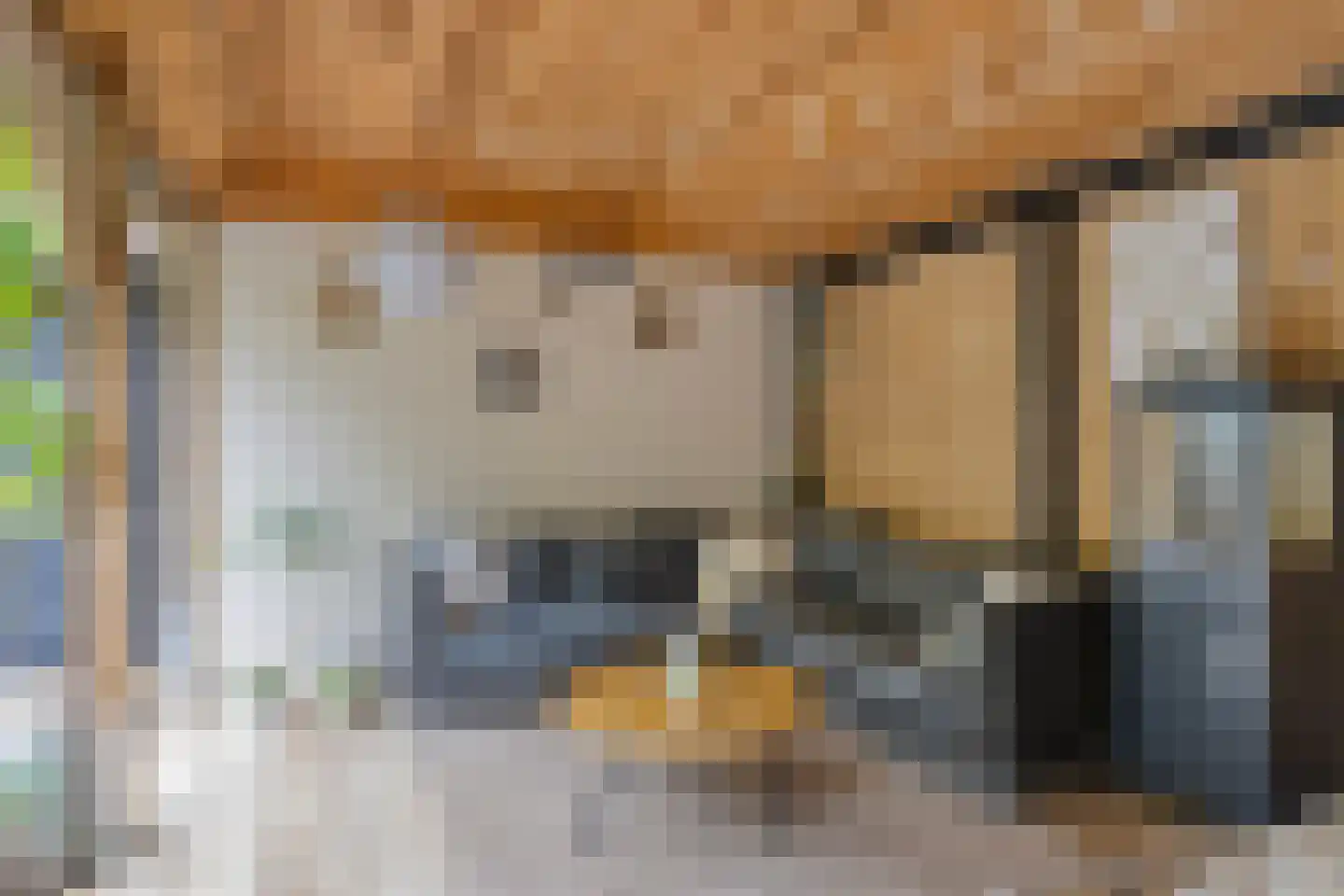 Ds. van Rhijnstraat 24 Emst thumbnail 28