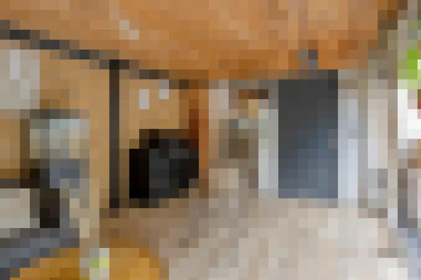 Ds. van Rhijnstraat 24 Emst thumbnail 29