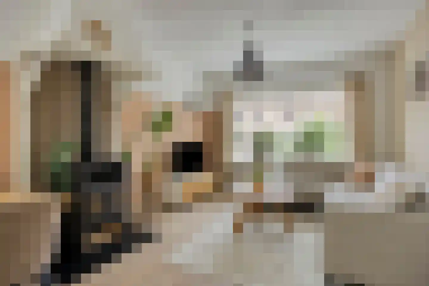 Ds. van Rhijnstraat 24 Emst thumbnail 4