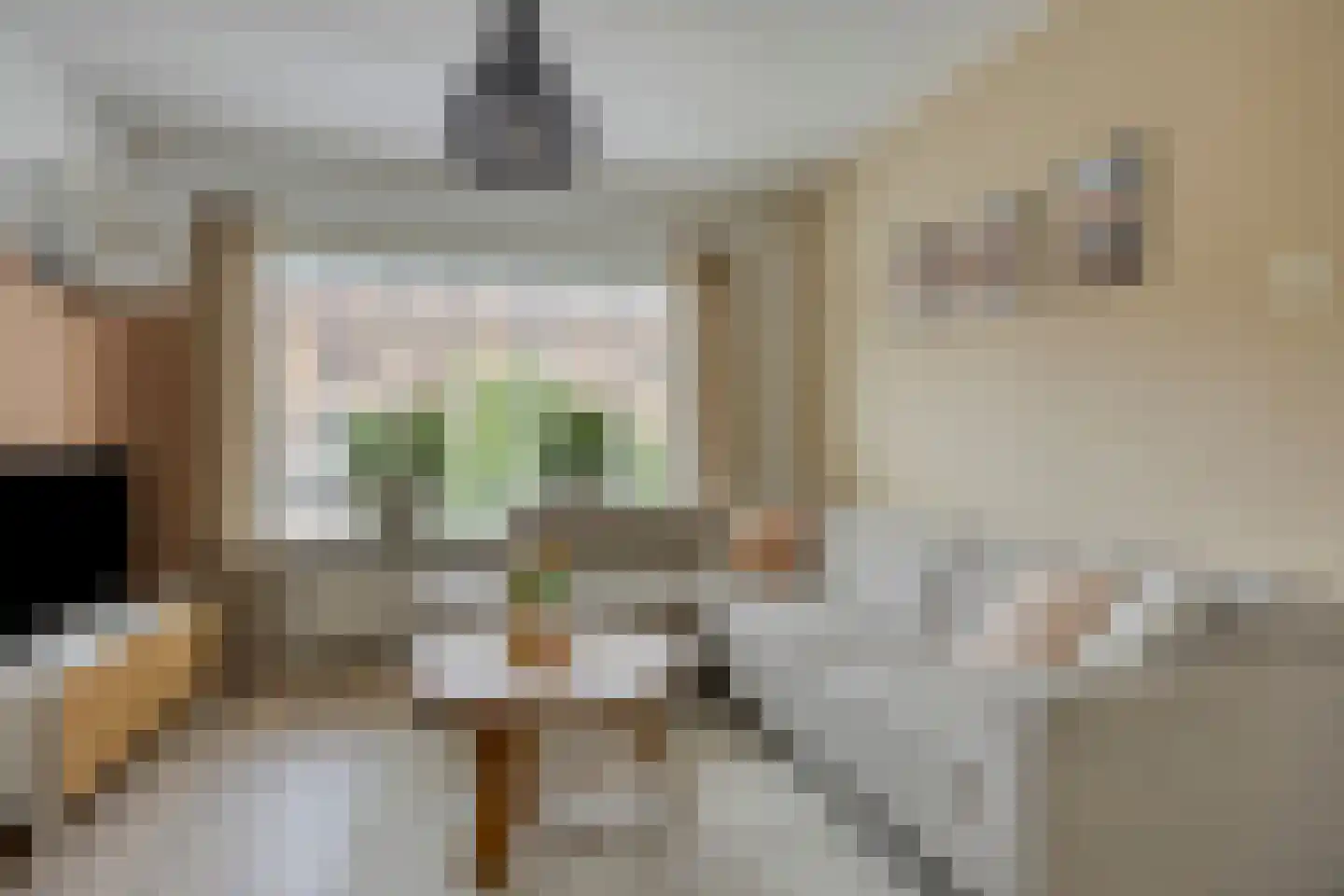 Ds. van Rhijnstraat 24 Emst thumbnail 5