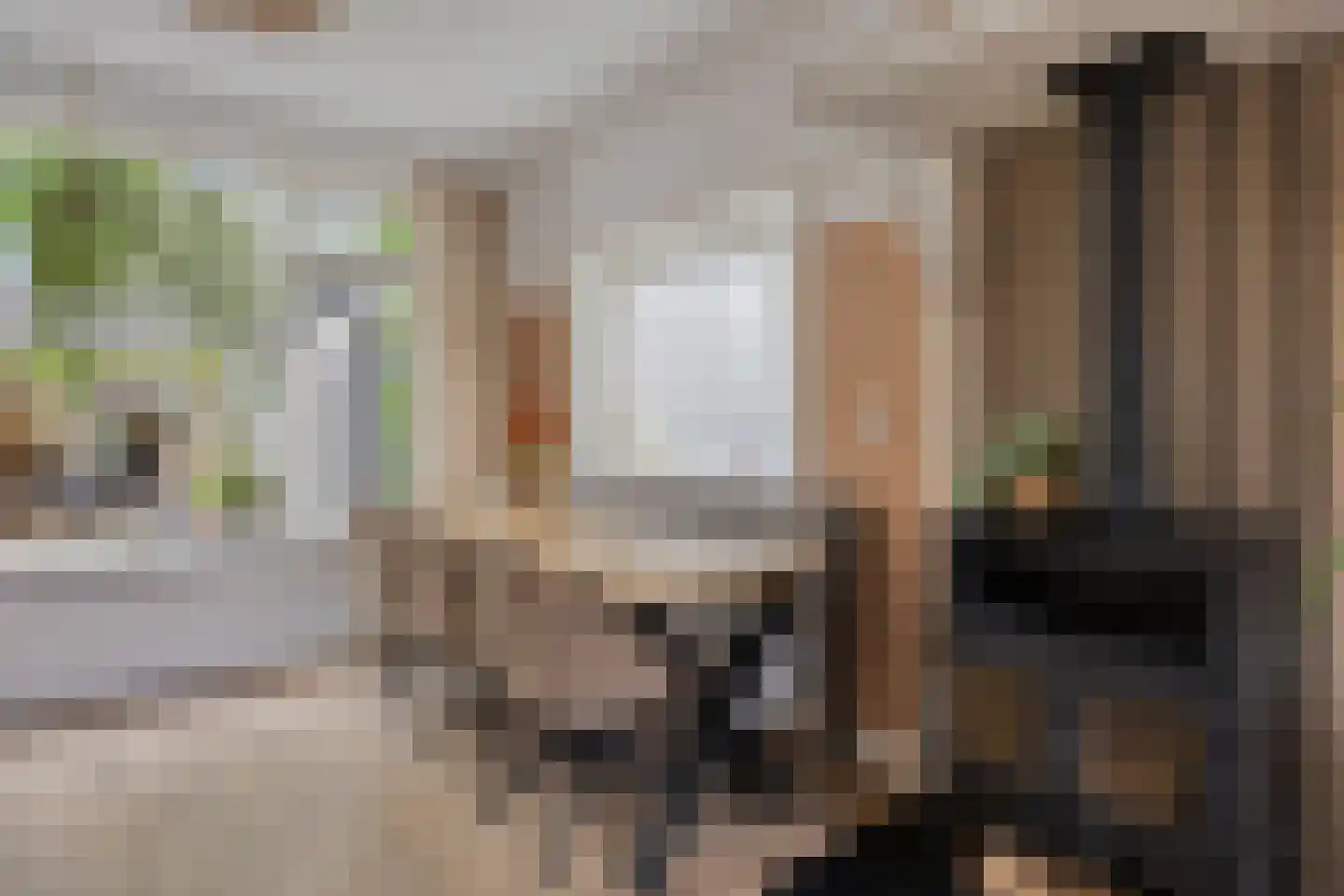 Ds. van Rhijnstraat 24 Emst thumbnail 7