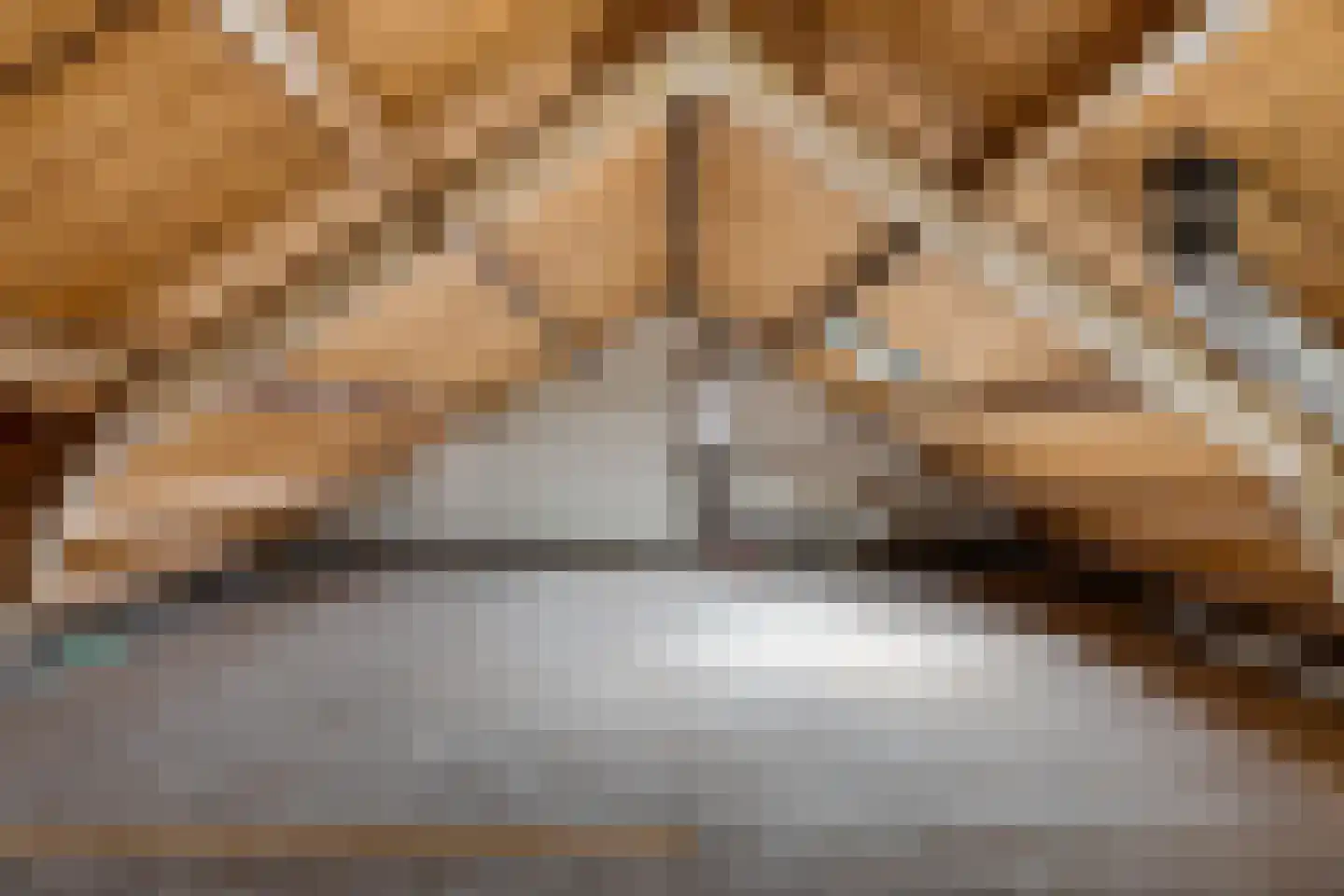 Ds. van Velzenstrjitte 15 Drogeham thumbnail 26