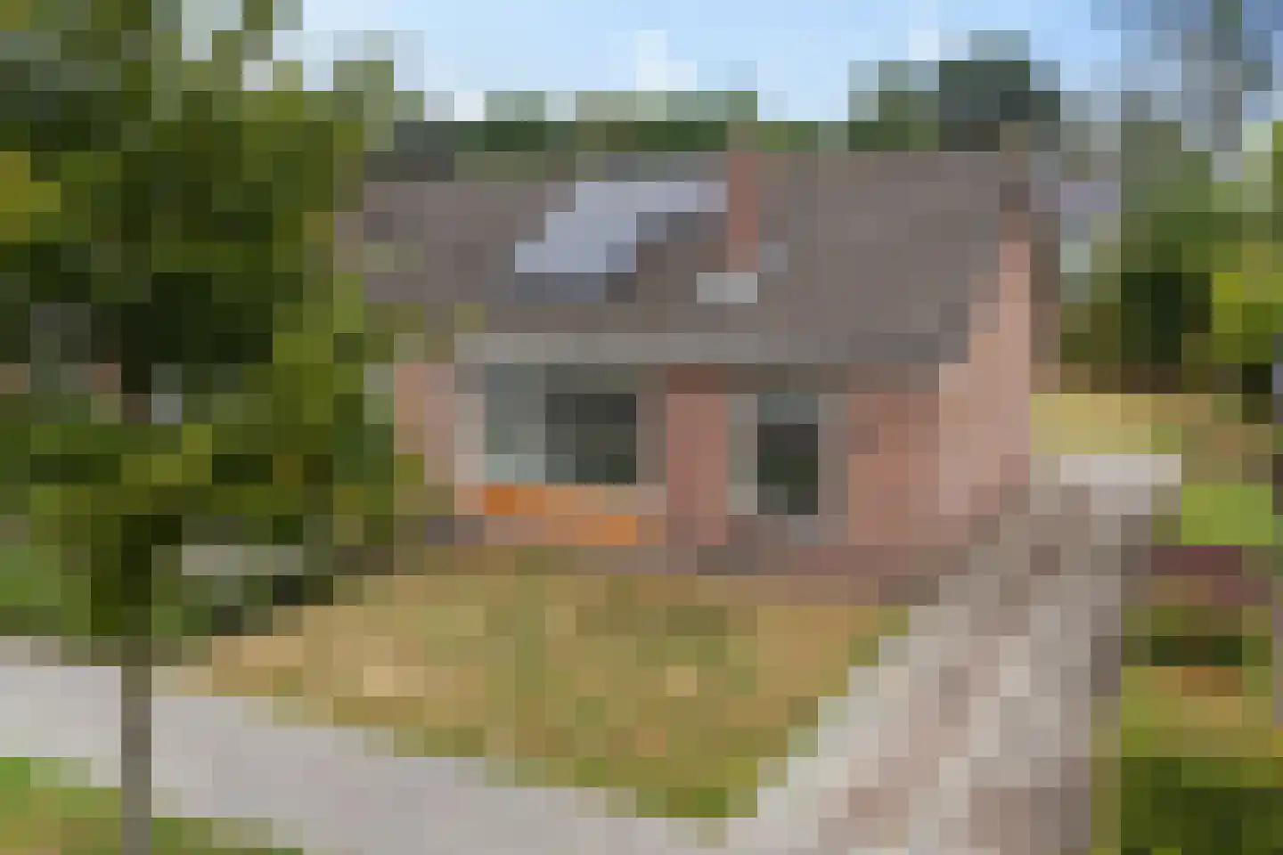 Ds. van Velzenstrjitte 15 Drogeham thumbnail 29