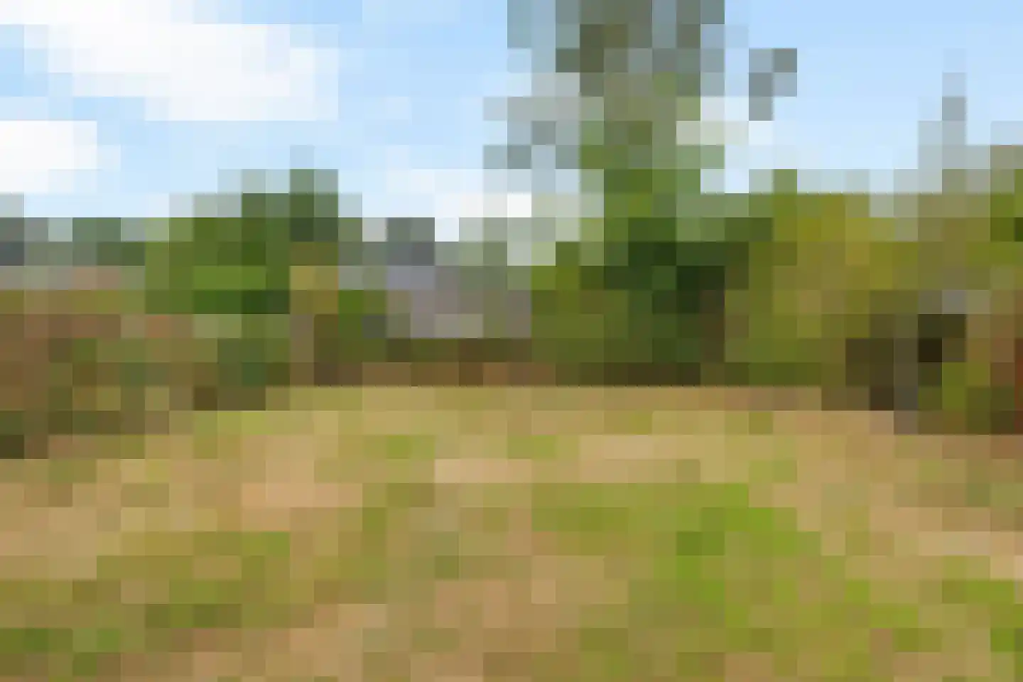 Ds. van Velzenstrjitte 15 Drogeham thumbnail 35