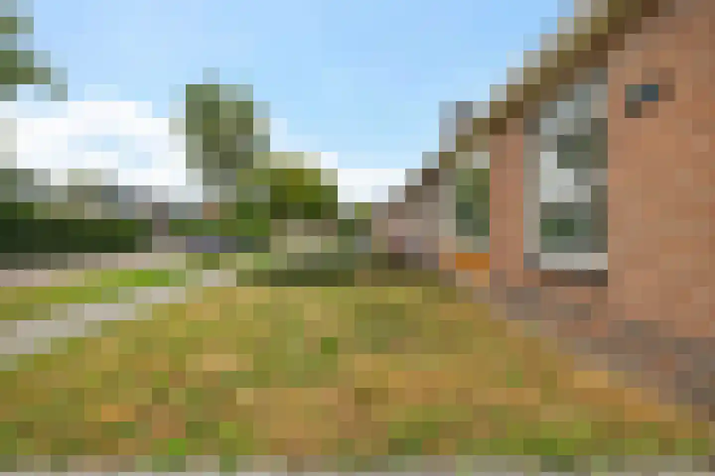 Ds. van Velzenstrjitte 15 Drogeham thumbnail 7