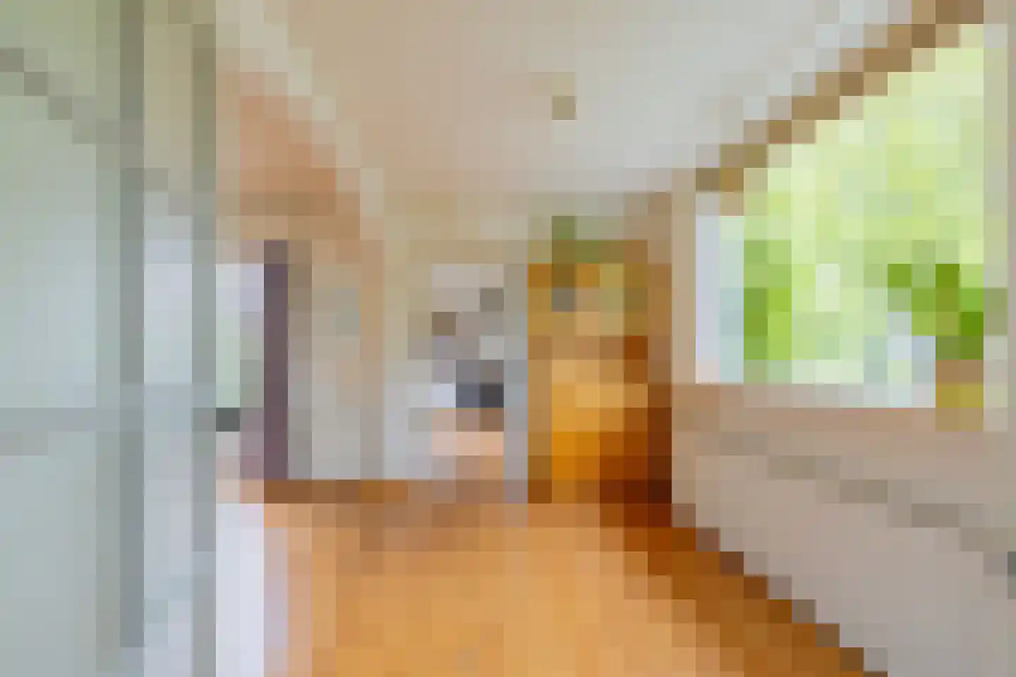 Ds. van Wouwestraat 26 Serooskerke thumbnail 10