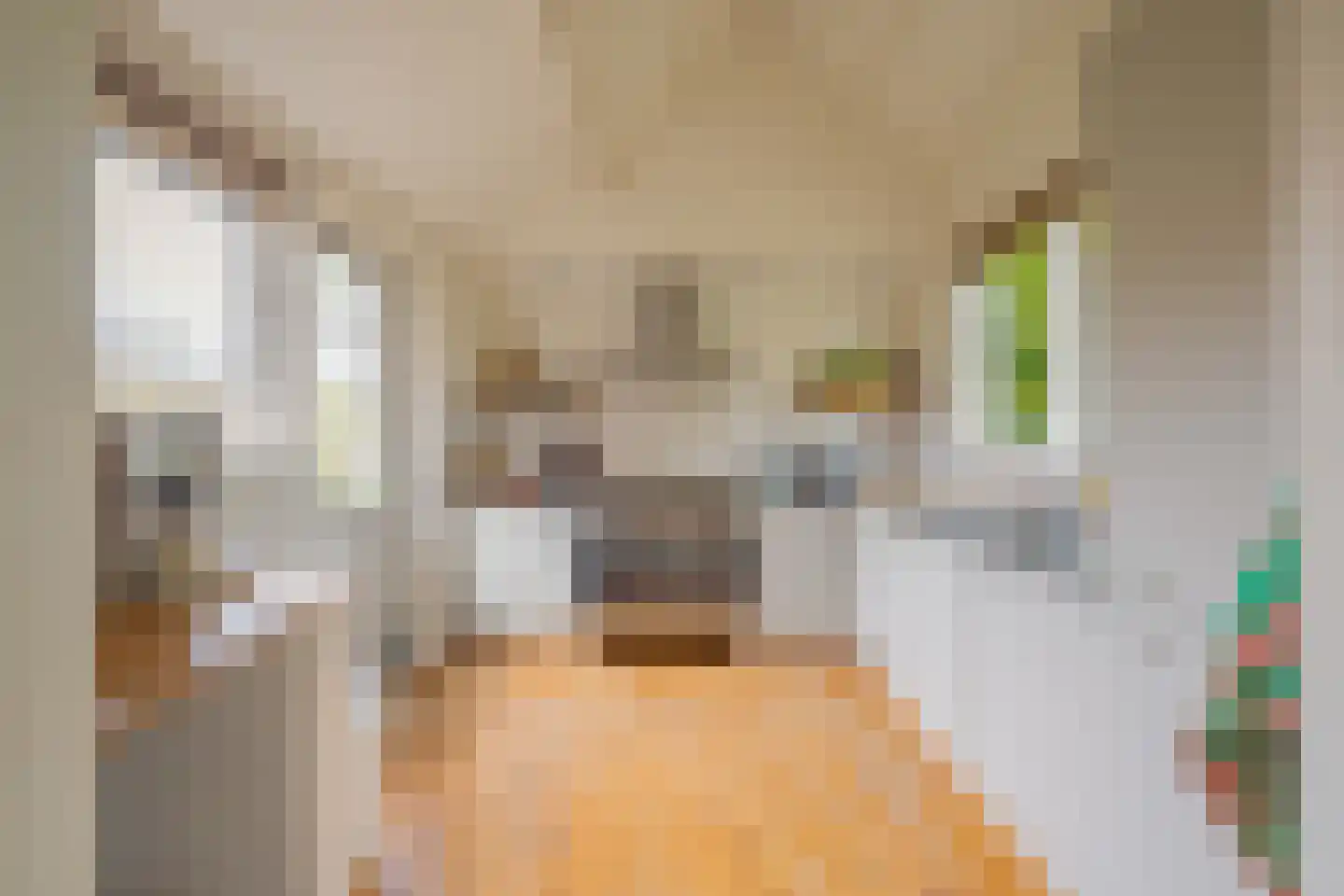 Ds. van Wouwestraat 26 Serooskerke thumbnail 20
